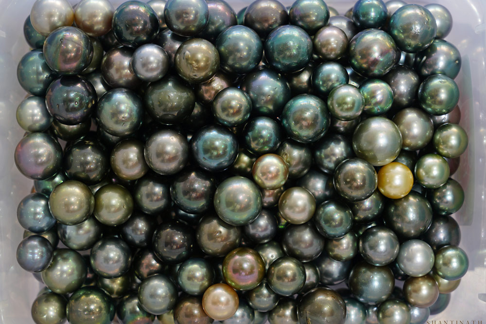 Tahitian-Pearl--1